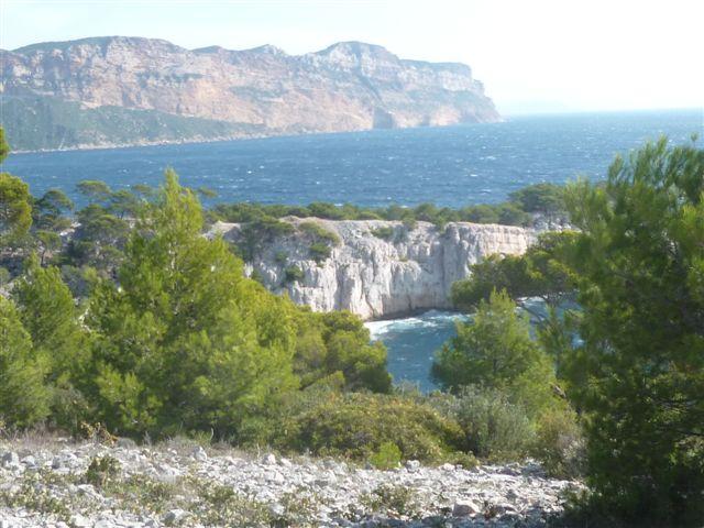 cassis_015.jpg